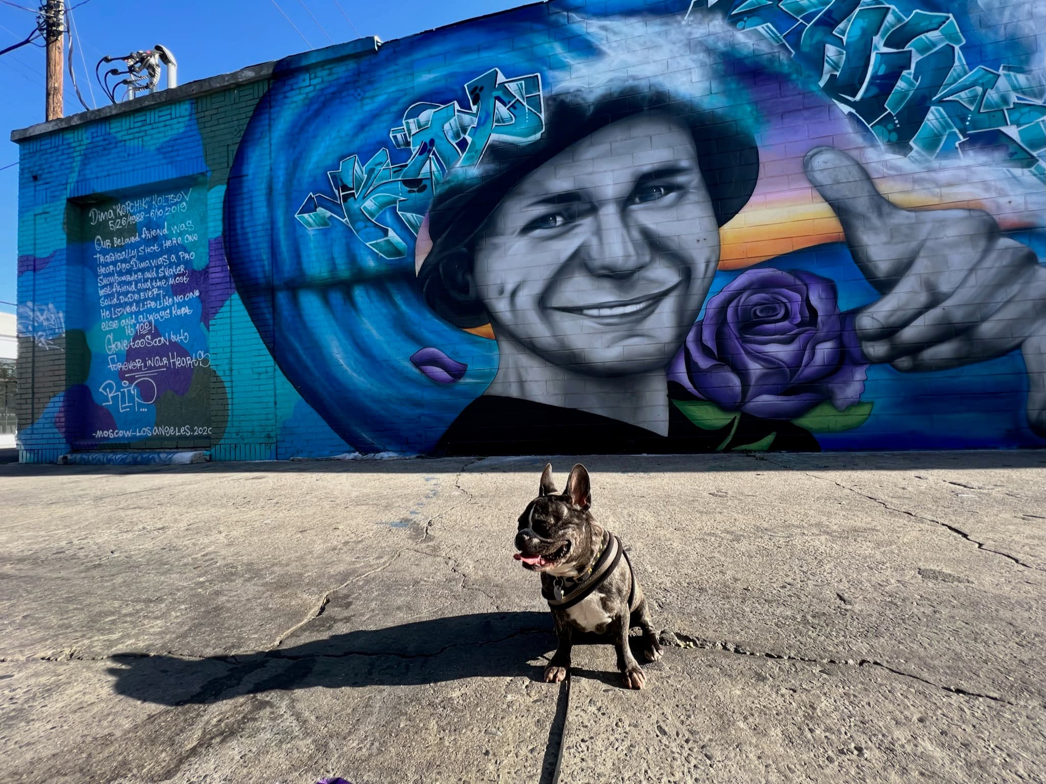Maddie standing in front of street art in Arts District, Los Angeles